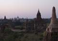 IMG_1835a